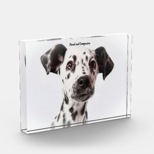 Dalmatinenhund Fotoblock (Links)