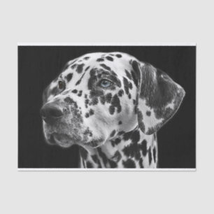 Dalmatinenhund Schwarz-Weiß-Decoupage Seidenpapier