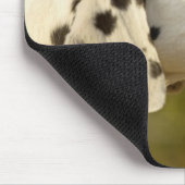 DALMATINER 4 MOUSEPAD (Ecke)