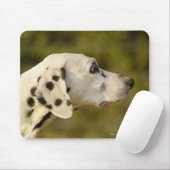 DALMATINER 4 MOUSEPAD (Mit Mouse)