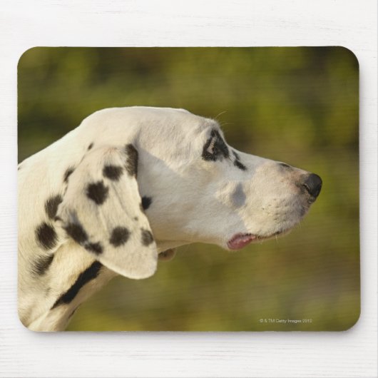DALMATINER 4 MOUSEPAD (Vorne)