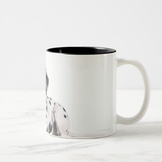 Dalmatiner 4 zweifarbige tasse (Rechts)