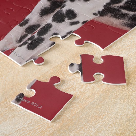 DALMATINER 6 PUZZLE (Seite)