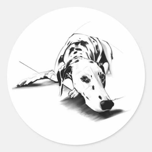 Dalmatiner Aufkleber - Hunde Kunst (Vorderseite)