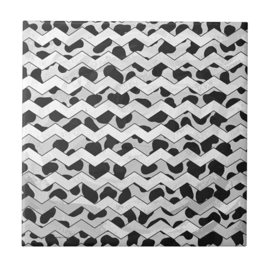 Dalmatiner Black and White Chvron Fliese (Vorderseite)