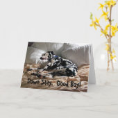 Dalmatiner bleibe unten karte (Gelbe Blume)