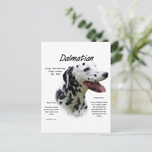 Dalmatiner (blk) Historie Design Postkarte (Stehend Vorderseite)