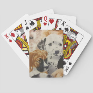 Dalmatiner & Boxer Welpen Spielkarten