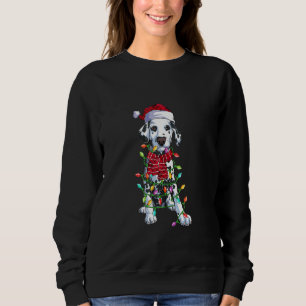 Dalmatiner Buffalo Kariertes T-Shirt Dalformation Sweatshirt
