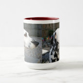 Dalmatiner - Cindy's Reina Tasse (Zentrum)