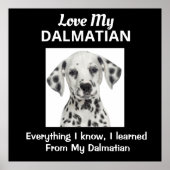 Dalmatiner Custom Poster (Vorne)