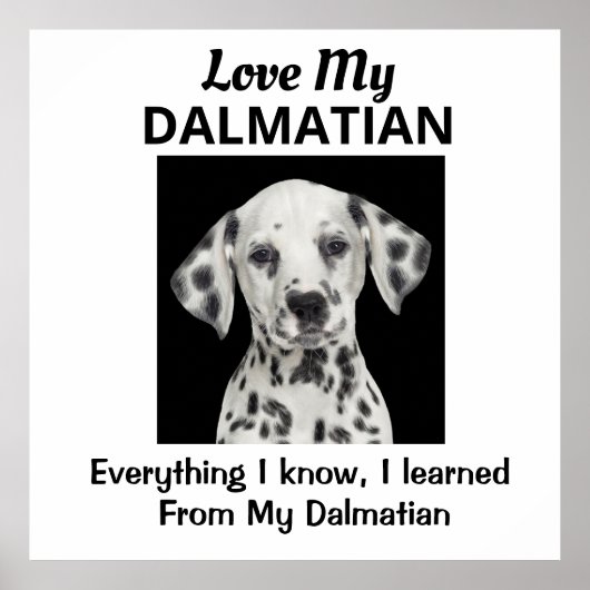 Dalmatiner Custom Poster (Vorne)