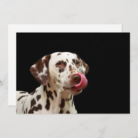 Dalmatiner Dankeskarte (Vorne/Hinten)