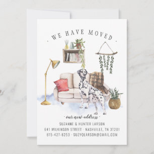 Dalmatiner Dog   Ankündigung der Beförderung