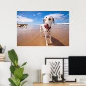 Dalmatiner Dog on Beach Poster (Heimbüro)