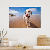 Dalmatiner Dog on Beach Poster (Küche)