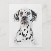 Dalmatiner Dog Portrait Postkarte (Vorderseite)
