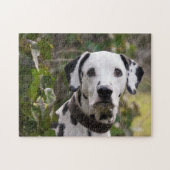 Dalmatiner Dog Puzzle (Horizontal)