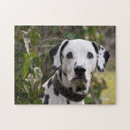 Dalmatiner Dog Puzzle (Horizontal)