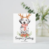 Dalmatiner Dog Season Weihnachten (Stehend Vorderseite)