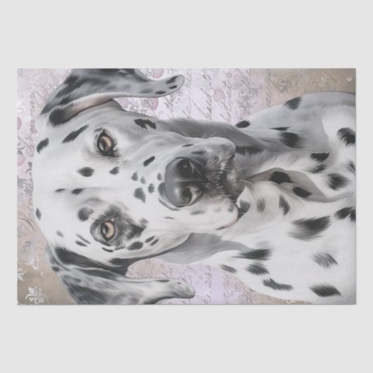 Dalmatiner Dog Seidenpapier (Vorderseite)