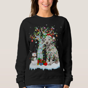 Dalmatiner Dog Xmas Tree Lighting Santa Dalmatiner Sweatshirt