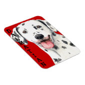 Dalmatiner-Farbblock Magnet (Rechte Seite)