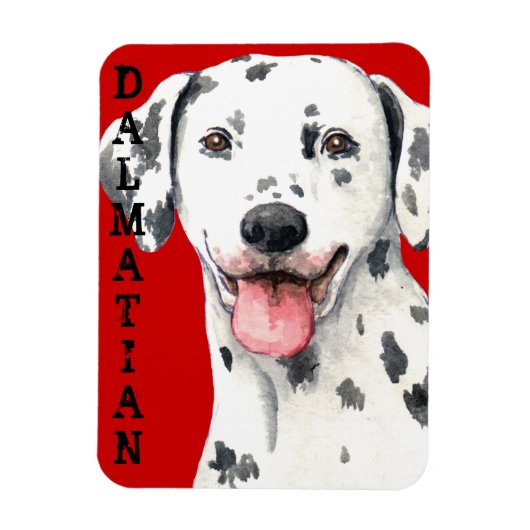Dalmatiner-Farbblock Magnet (Vertikal)