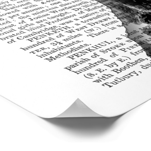 Dalmatiner, Festhund und Hut Poster (Ecke)