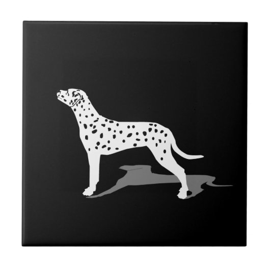 Dalmatiner Fliese (Vorderseite)