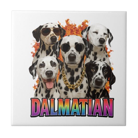 Dalmatiner Fliese (Vorderseite)