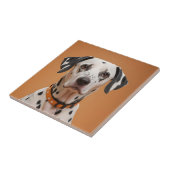 Dalmatiner Fliese (Seite)