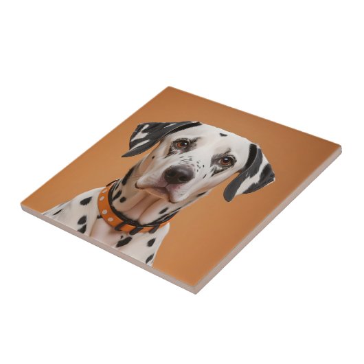 Dalmatiner Fliese (Seite)