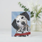 Dalmatiner Foto Postkarte (Stehend Vorderseite)
