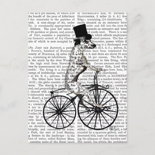 Dalmatiner für Fahrrad 2 Postkarte (Vorderseite)