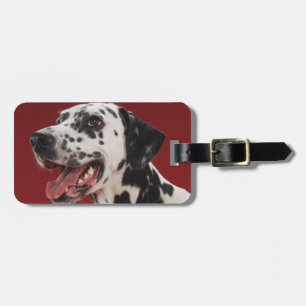 Dalmatiner Gepäckanhänger