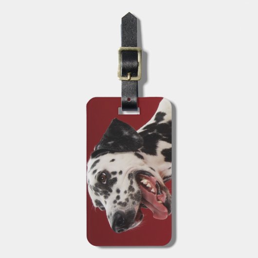 Dalmatiner Gepäckanhänger (Vorderseite vertikal)
