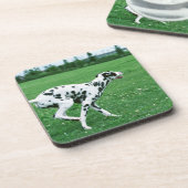 Dalmatiner Getränkeuntersetzer (Linke Seite)