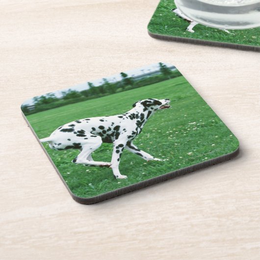 Dalmatiner Getränkeuntersetzer (Linke Seite)