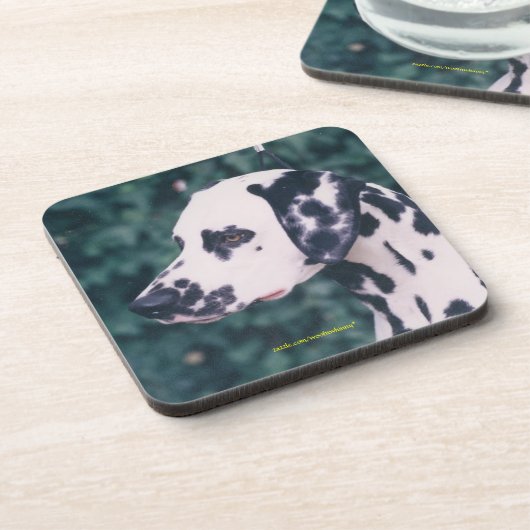 Dalmatiner Headstudy Untersetzer (Linke Seite)