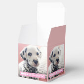 Dalmatiner-Herznase Geschenkschachtel (Geöffnet)