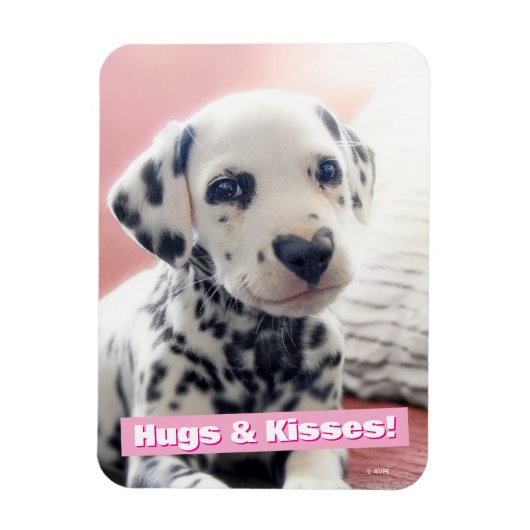 Dalmatiner-Herznase Magnet (Vertikal)