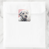 Dalmatiner-Herznase Quadratischer Aufkleber (Tasche)