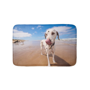 Dalmatiner-Hund auf Strand Badematte