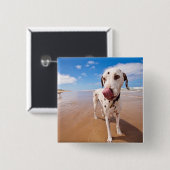 Dalmatiner-Hund auf Strand Button (Vorne & Hinten)