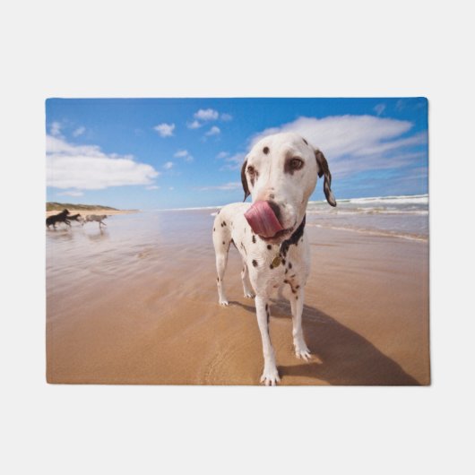 Dalmatiner-Hund auf Strand Fußmatte (Vorderseite)