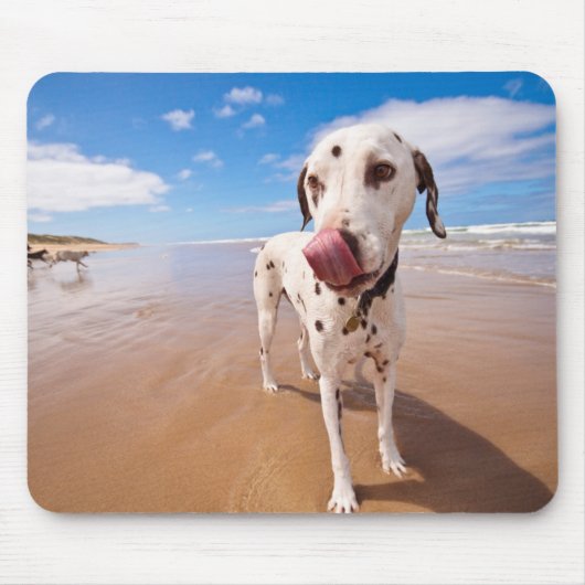 Dalmatiner-Hund auf Strand Mousepad (Vorne)