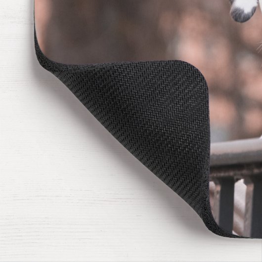 Dalmatiner Hund Maus-Pad Mousepad (Ecke)