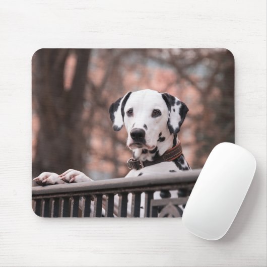 Dalmatiner Hund Maus-Pad Mousepad (Mit Mouse)