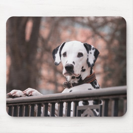 Dalmatiner-Hund-Mauspad Mousepad (Vorne)